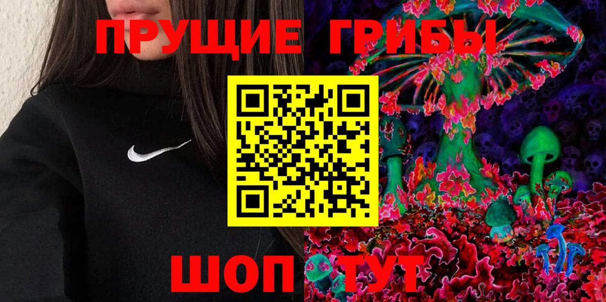 Галлюциногенные грибы Psilocybine cubensis Костомукша